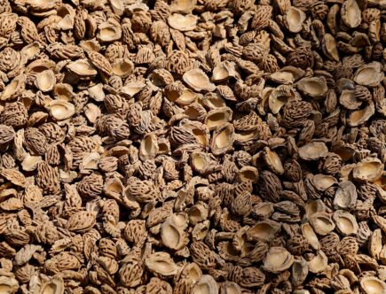 erfahren sie alles über rückführung: verfahren, unterstützung und wichtige informationen für eine sichere und reibungslose heimkehr.