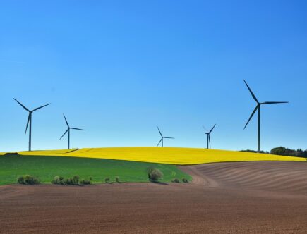 nachhaltige entwicklung fördert umweltfreundliche, ökonomische und soziale fortschritte für eine lebenswerte zukunft.