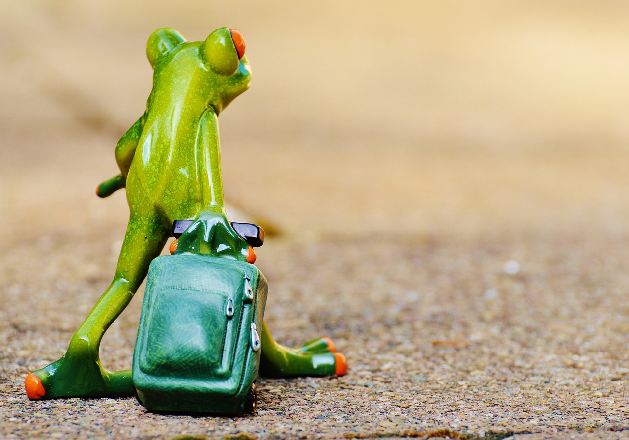 entdecken sie die besten reiseziele der welt, finden sie inspirierende tipps und nützliche informationen für ihre nächste abenteuerreise. lassen sie sich von unvergesslichen erlebnissen und beeindruckenden kulturen begeistern!