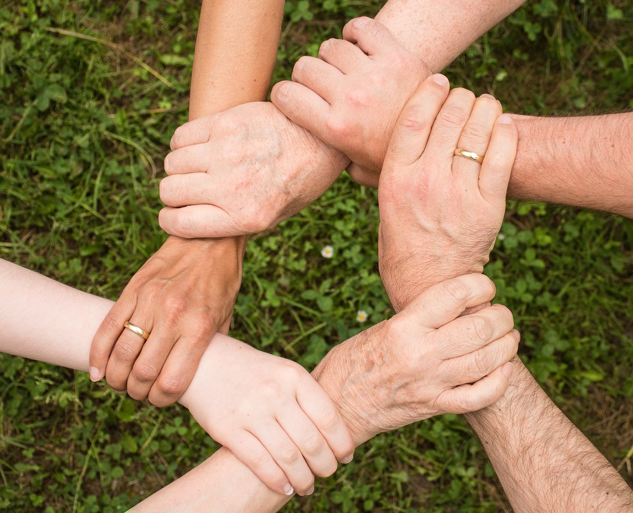 entdecken sie unsere partnerschaften und wie wir gemeinsam erfolgreich sind. stärken sie ihr netzwerk mit vertrauensvollen kooperationen.