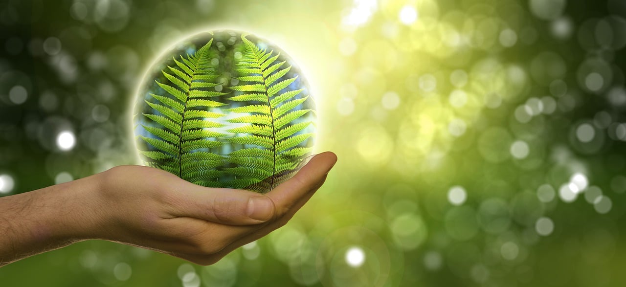 entdecken sie effektive schutzlösungen für ihre bedürfnisse. unsere produkte garantieren sicherheit und zuverlässigkeit, egal ob im alltag oder in speziellen situationen. schützen sie, was ihnen wichtig ist!