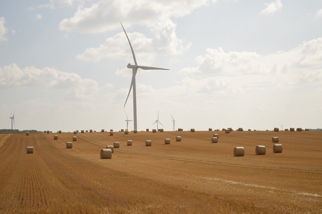 entdecken sie die welt der erneuerbaren energien: nachhaltige lösungen, innovationen und tipps zur umweltfreundlichen energiegewinnung. informieren sie sich über solar-, wind- und weitere grüne technologien für eine bessere zukunft.