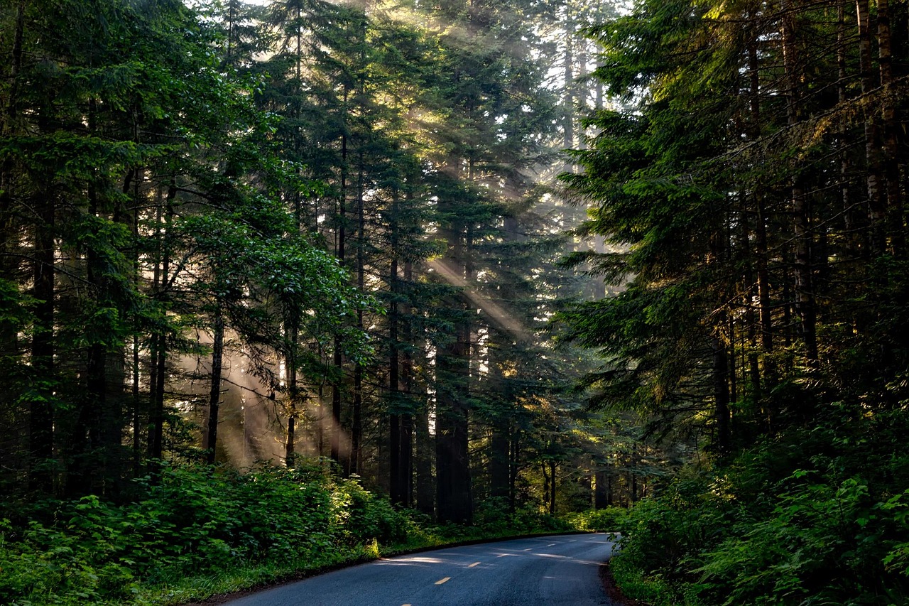 erleben sie die vielfalt kaliforniens: von atemberaubenden stränden über aufregende städte bis hin zu malerischen nationalparks. entdecken sie die sonne, kultur und abenteuer, die den golden state einzigartig machen.
