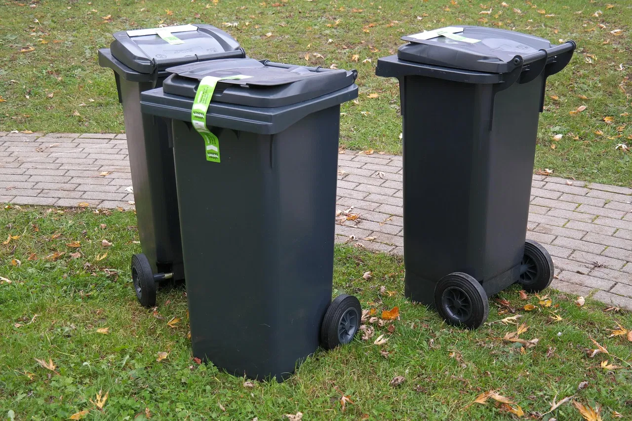 Nadja Zimmermann: Ein Blick hinter die Kulissen der Waste Watcher