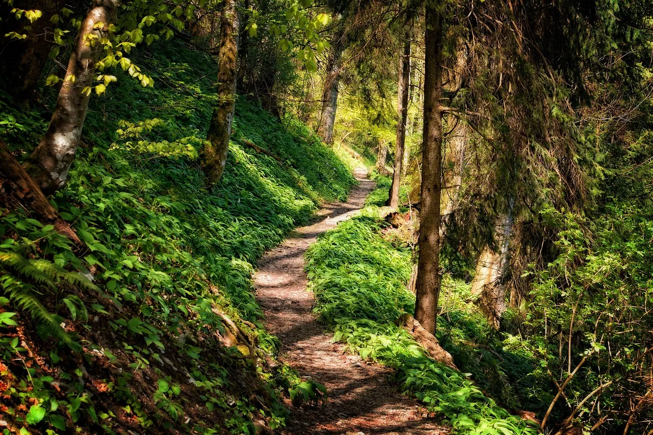 Die schönsten Wanderwege in den Alpen